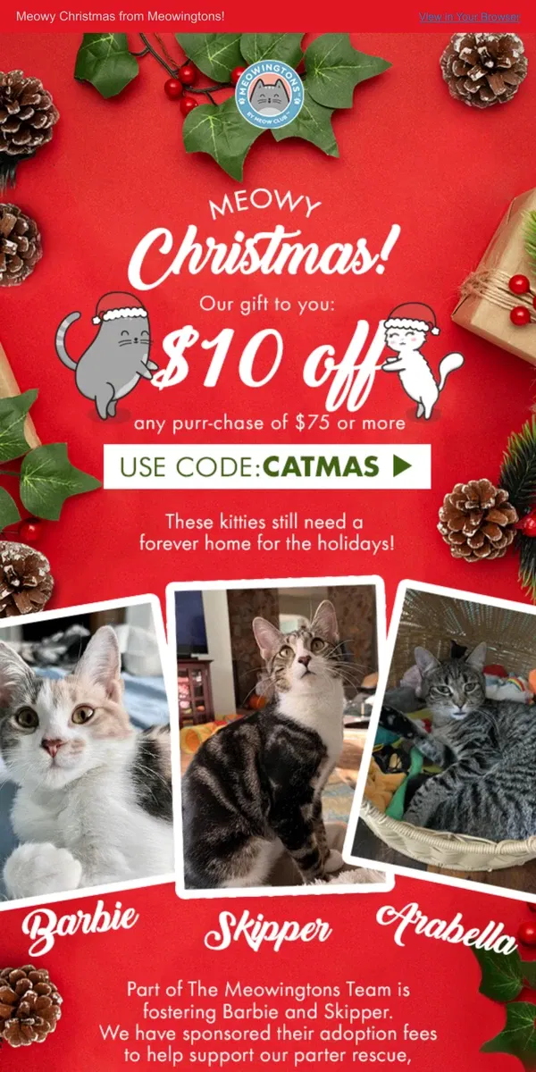 Email from Meowingtons. Our Christmas Gift To You 🎁