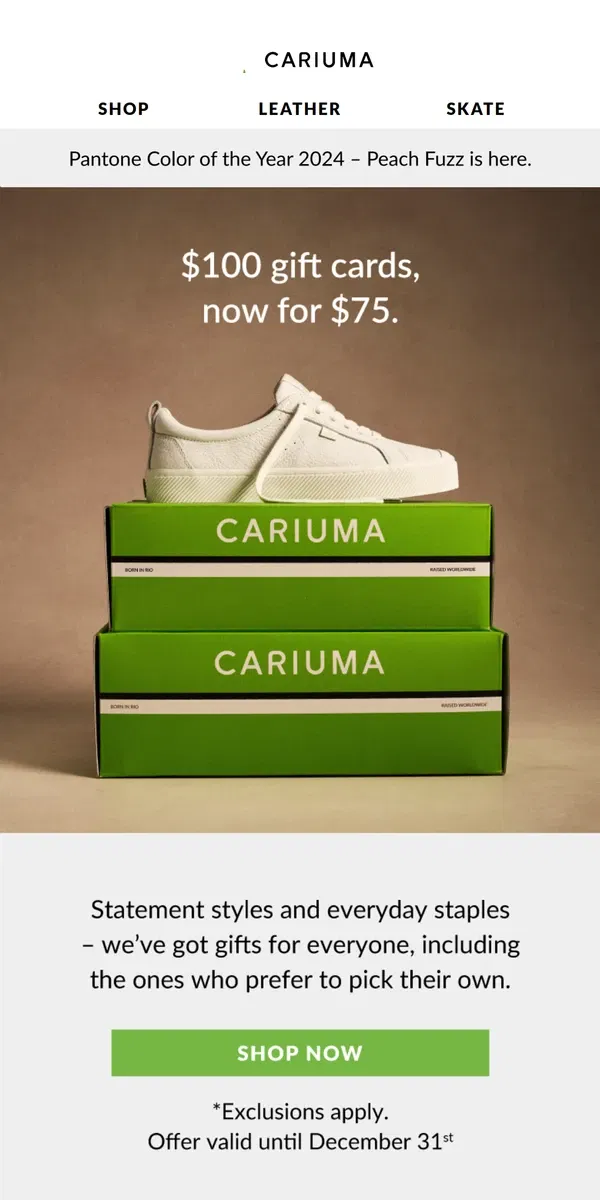 Email from Cariuma. Last Minute Gifting?