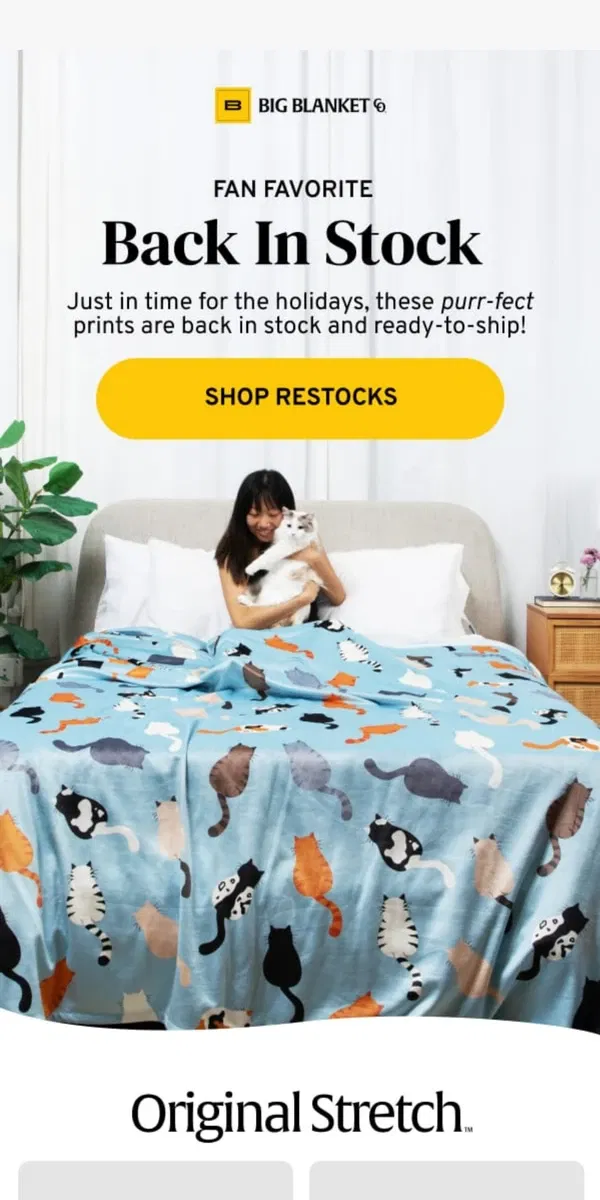 Email from Big Blanket Co. 🐱 🐾 Restocked just in time...