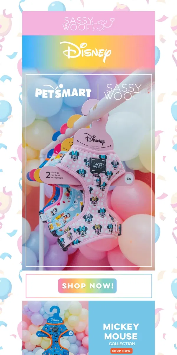 Email from Sassy Woof. NEW Disney at PetSmart! ✨