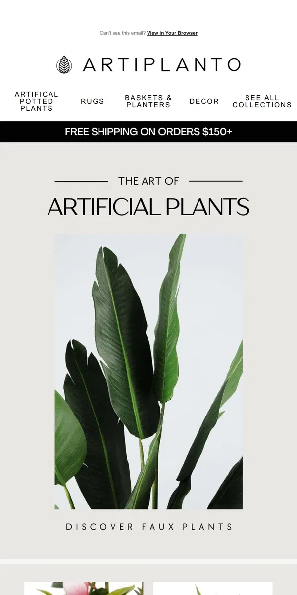 Email from Artiplanto. Never drown a plant again 💦