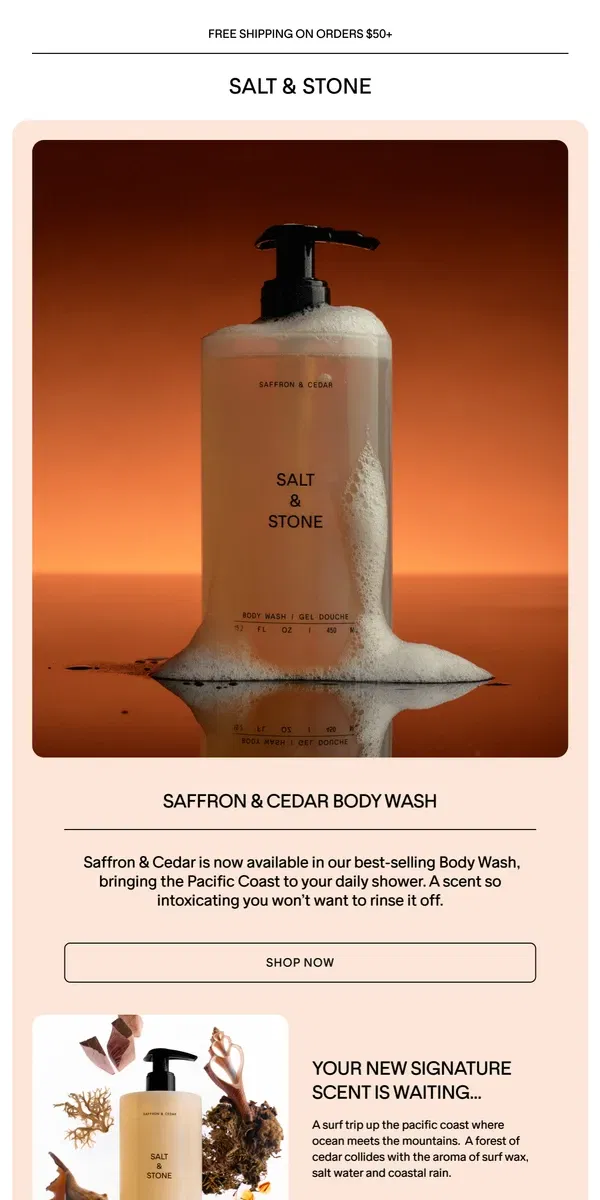 Email from SALT & STONE. Take a Shower in Saffron & Cedar