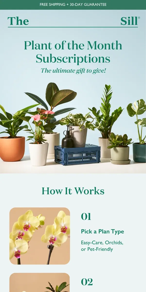 Email from The Sill. The Ultimate Gift for Plant Lovers