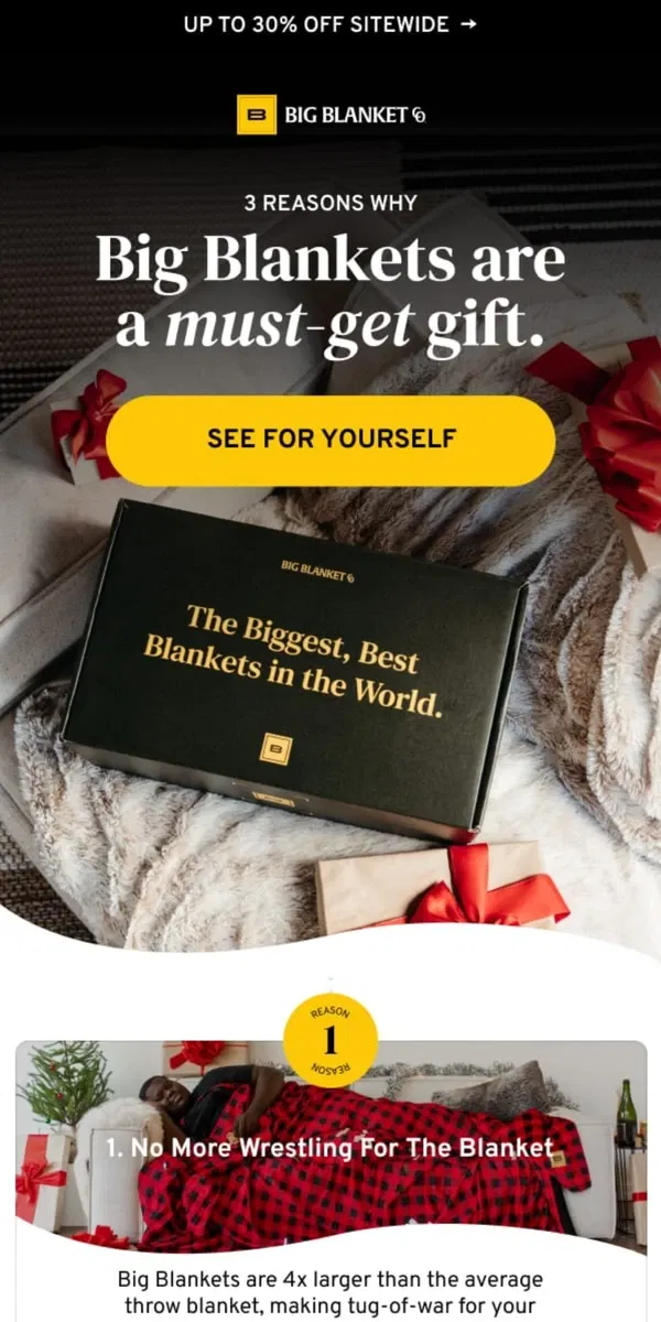 Email from Big Blanket Co. 🎁 Gift Goals