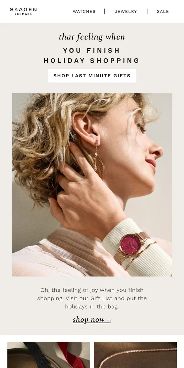 Email from Skagen. your last-minute holiday gift guide.