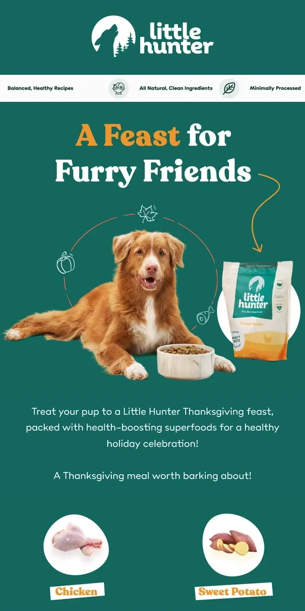 Email from Little Hunter. Thankful for Your Pup? Treat Them to a Special Feast 💚