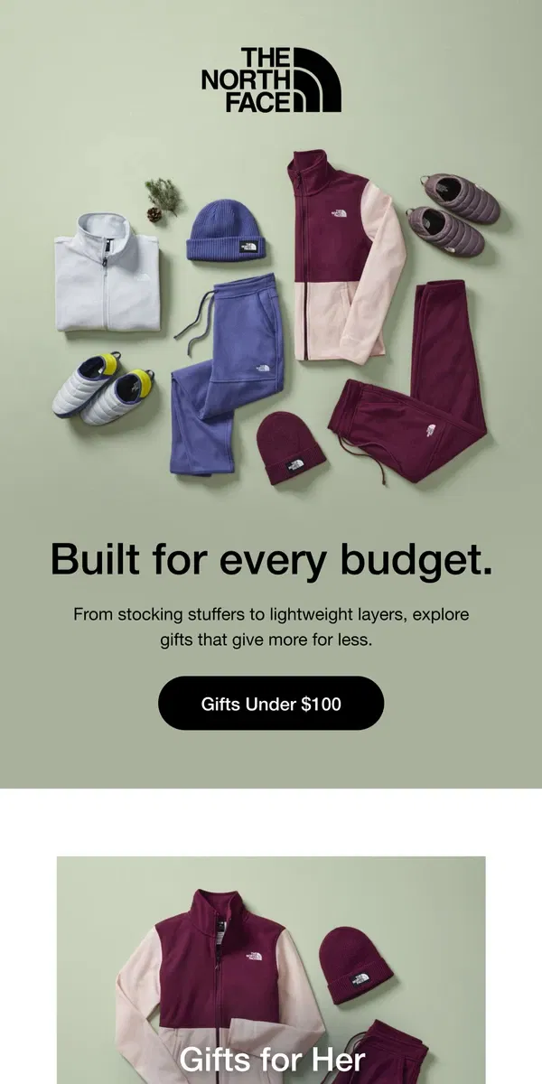 Email from The North Face. Gifts under $100 that give 100%