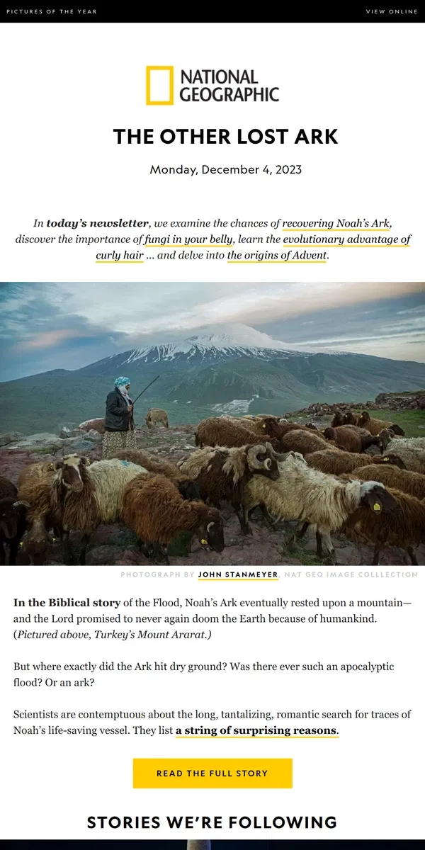 Email from National Geographic. Will we ever find Noah’s Ark? Plus, fungi in your belly