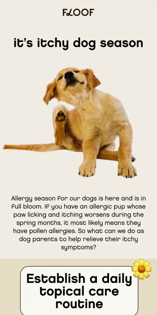 Email from Floof. Allergy Season Alert🌸: Keep Your Pup Pollen-Free with the Floof Care Routine