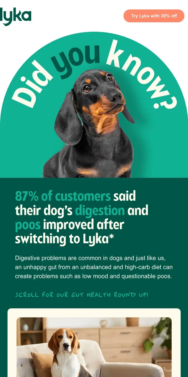 Email from Lyka. Could your pup's gut health do with a boost? 🚀