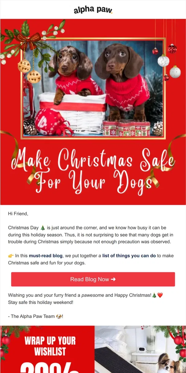 Email from Alpha Paw. Make Christmas Safe For Your Dogs 🎄