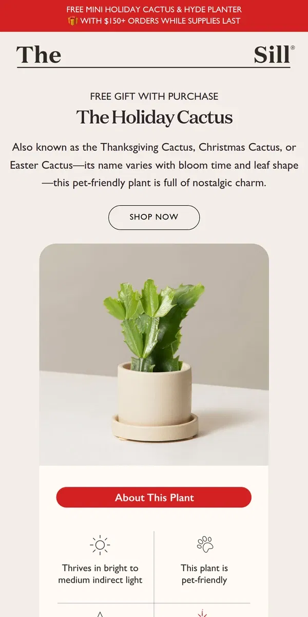 Email from The Sill. FREE Holiday Cactus With Your Order 🌵🎁