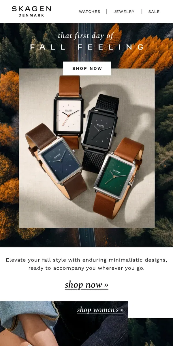 Email from Skagen. fall: it’s a mood.