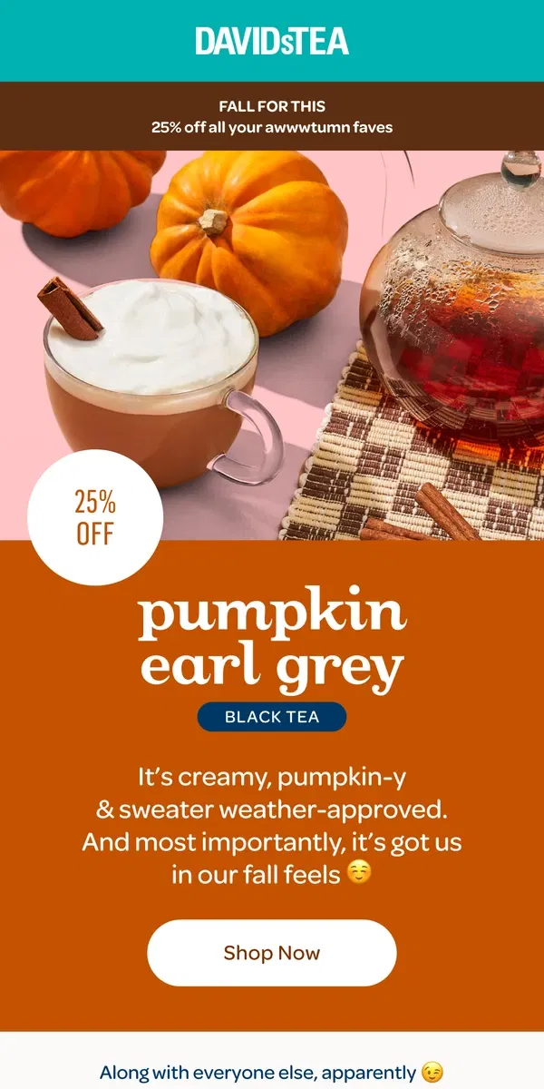 Email from DAVIDsTEA. We call this one sweater weather tea 🫖🧣