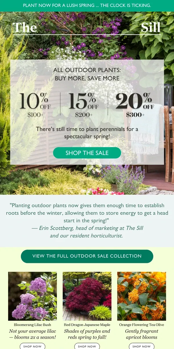 Email from The Sill. ON SALE! Plant These Now for a LUSH Spring!