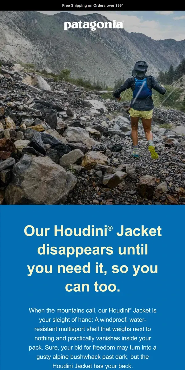 Email from Patagonia. How to disappear from your desk