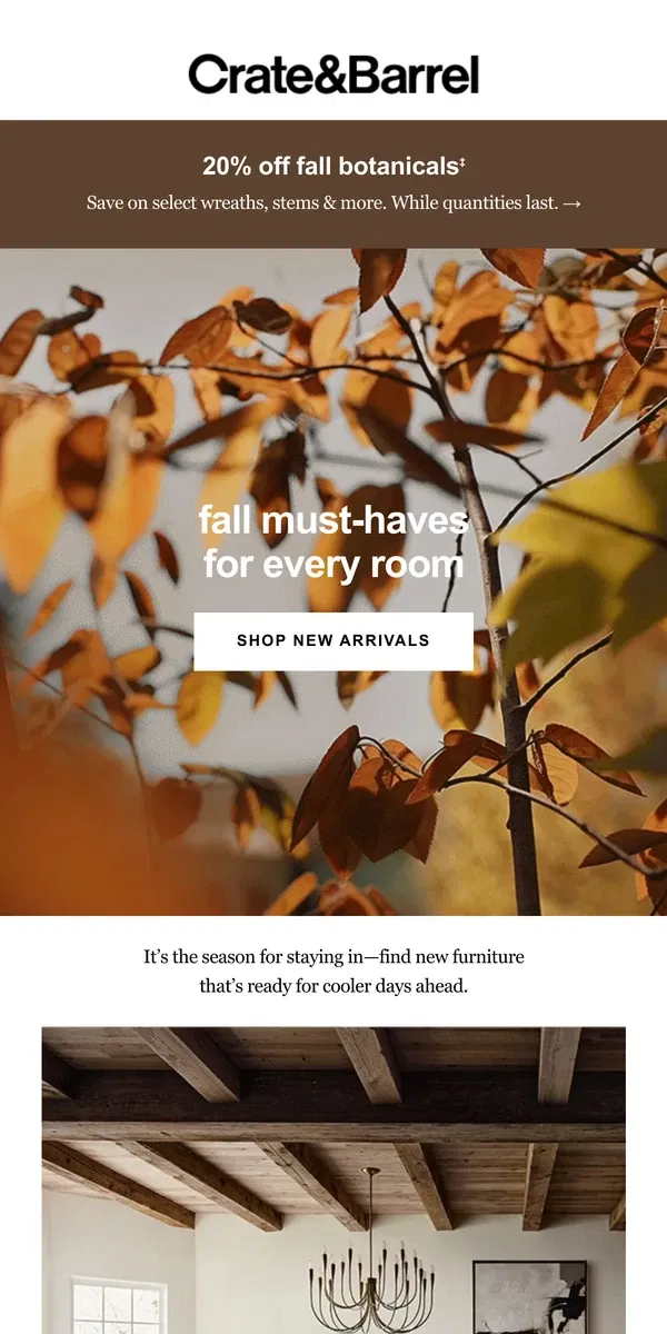 Email from Crate & Barrel. 🍂New furniture with sweater weather vibes