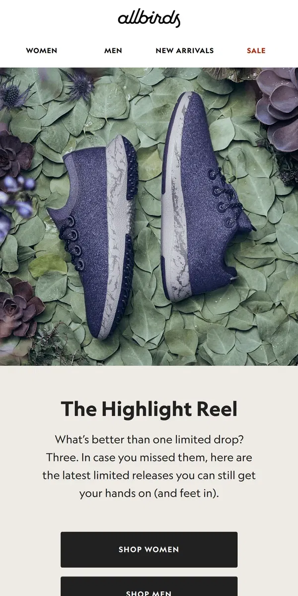 Email from Allbirds. 🔥 Don't Miss Out - Limited Releases Still Available