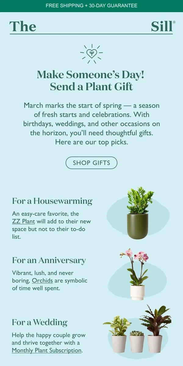 Email from The Sill. Your Guide to March Gifting