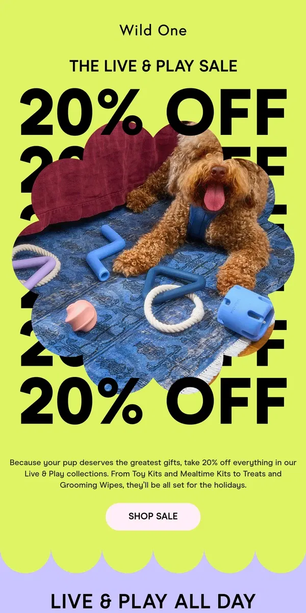 Email from Wild One. 20% Off Live & Play