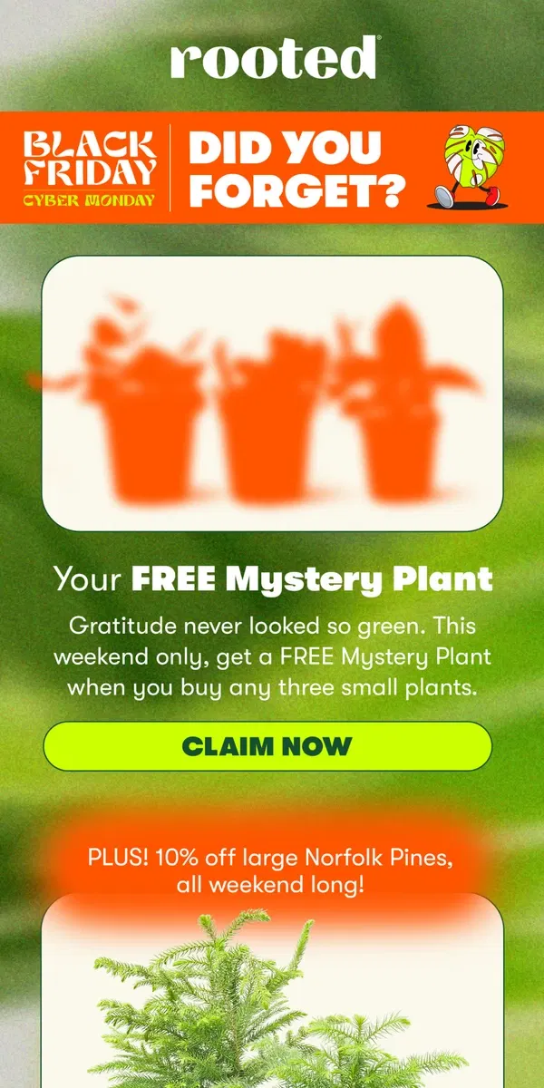 Email from Rooted. It's True... We're Giving Away FREE Plants This Weekend 🤫