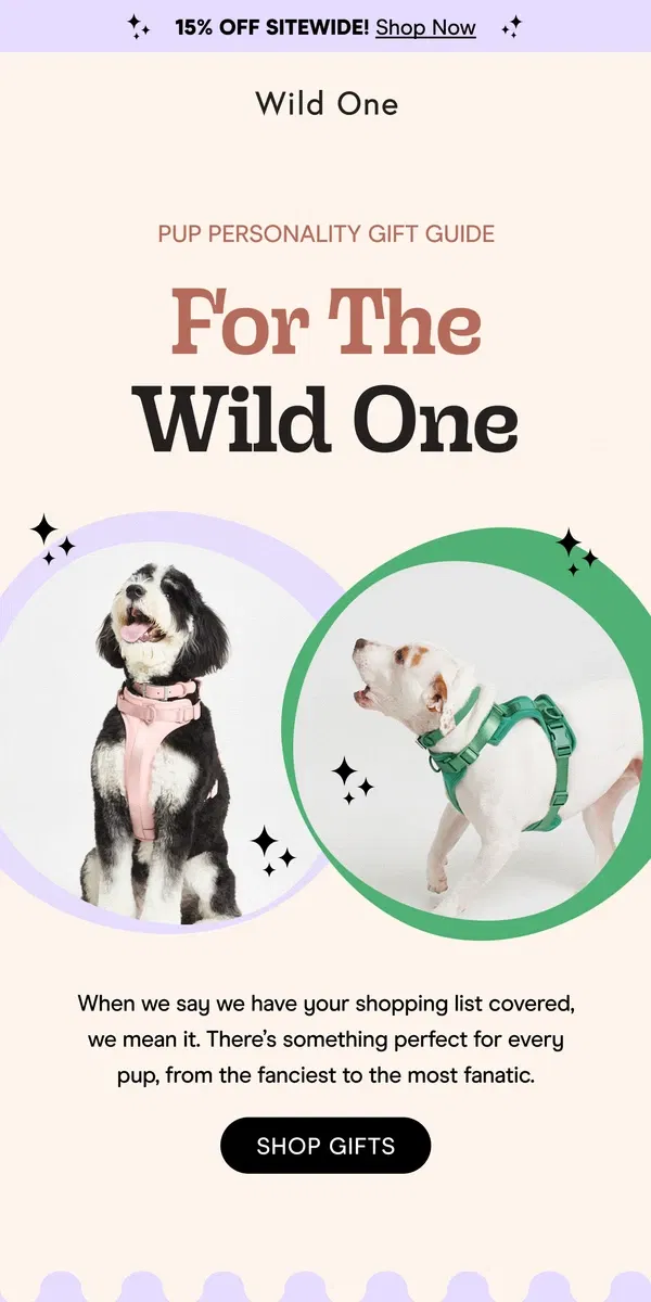 Email from Wild One. For The Fancy & Sporty Ones