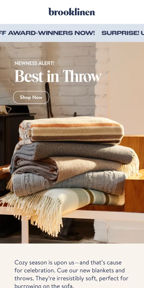 Email from Brooklinen. NEW THROW BLANKETS ARE HERE!