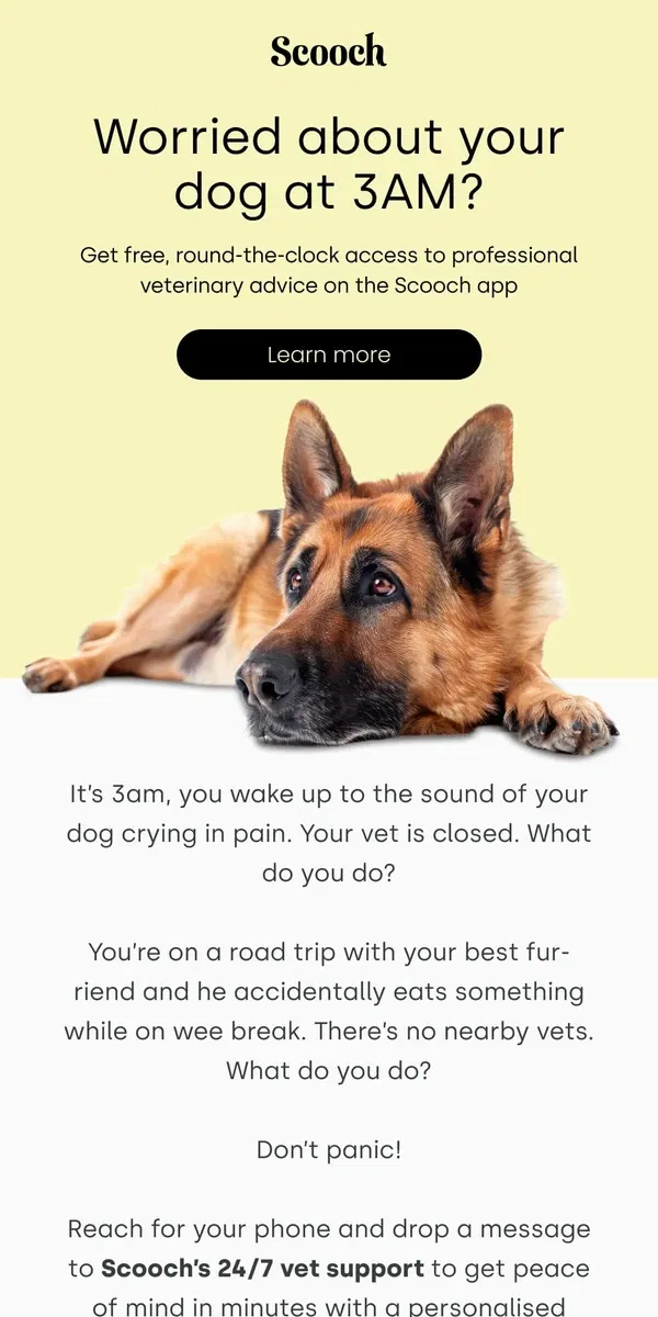 Email from Scooch. No more late-night worries about your pup