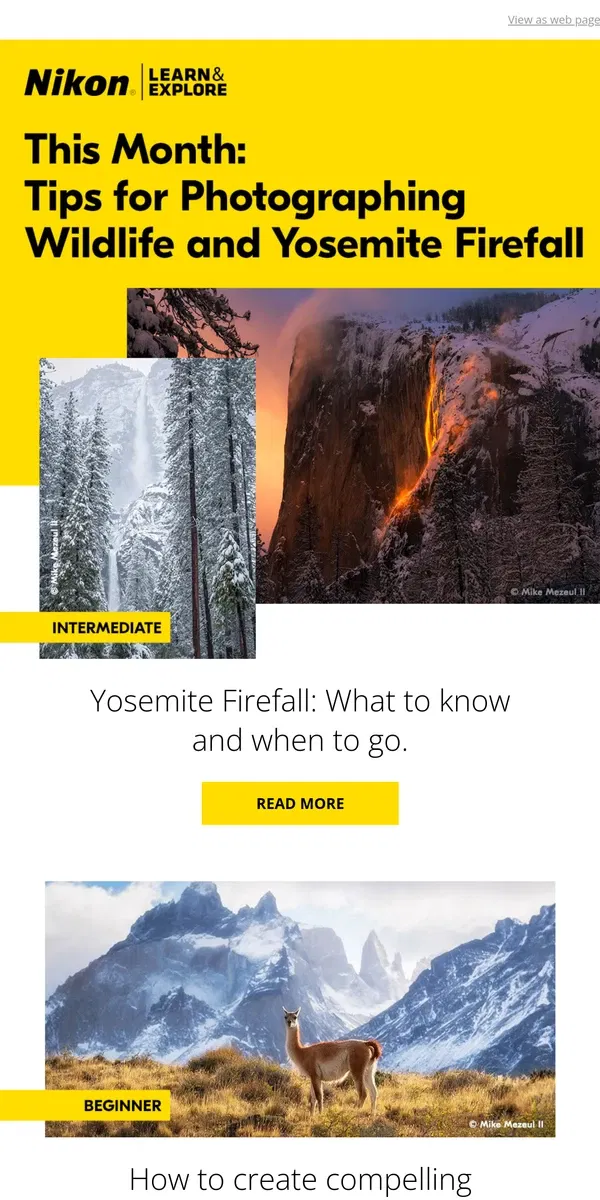 Email from Nikon. Tips for photographing wildlife and Yosemite Firefall