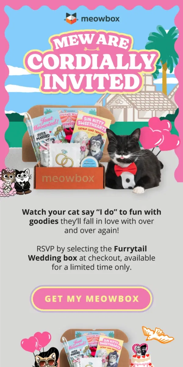 Email from meowbox. Join us in celebrating the love of a nine lives-time 💌🎂🥂