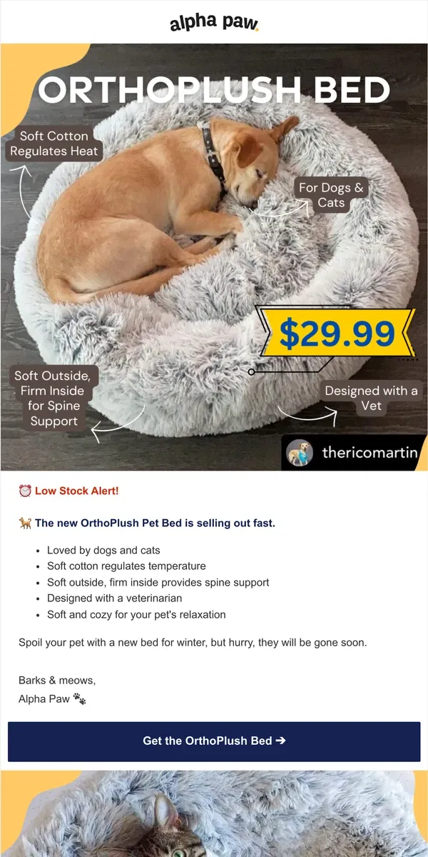 Email from Alpha Paw. New! Orthplush Pet Bed is going fast ⏰