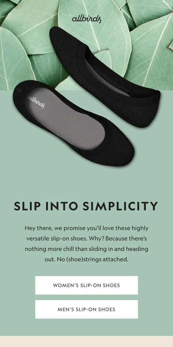 Email from Allbirds. Two Slip-On Styles, One Chill Vibe 😊