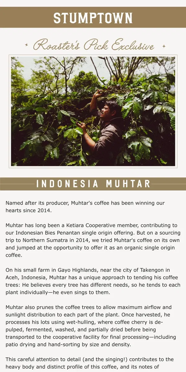 Email from Stumptown Coffee Roasters. Get the exclusive: Indonesia Muhtar