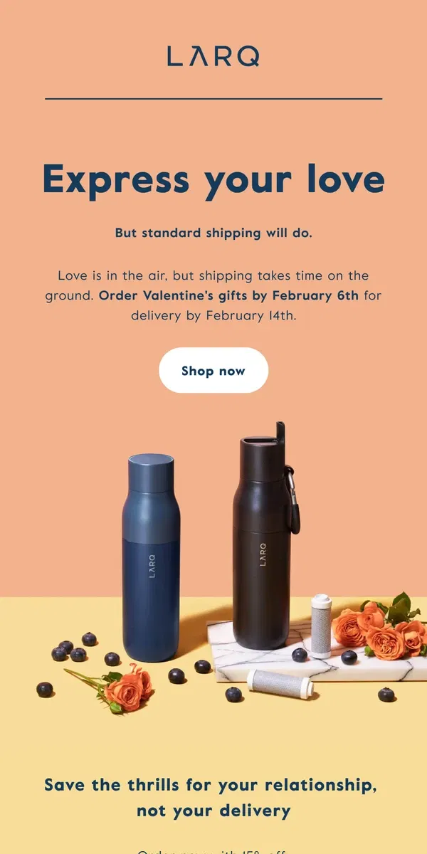 Email from LARQ. Last call for Valentine's delivery