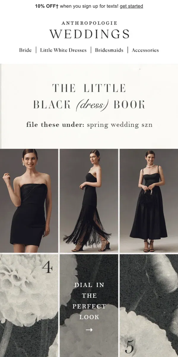 Email from Anthropologie. The Little Black (Dress) Book 📓