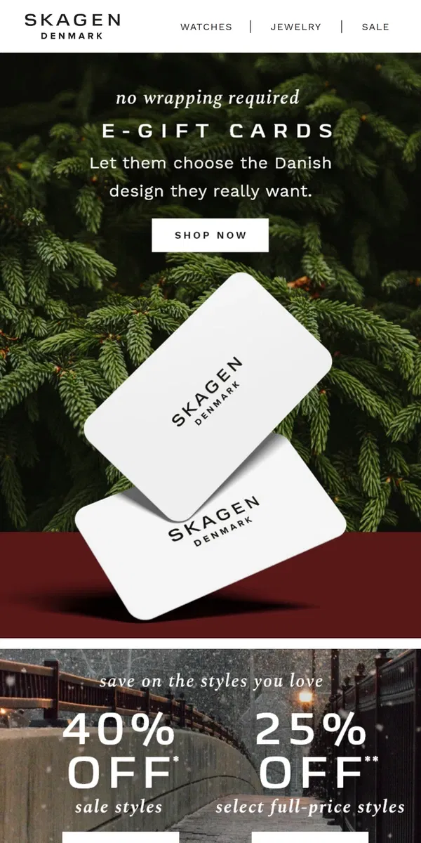 Email from Skagen. the perfect gift