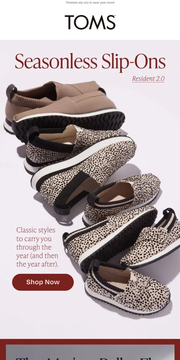 Email from TOMS. Classics for any season