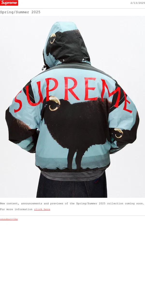 Email from Supreme. Spring/Summer 2025