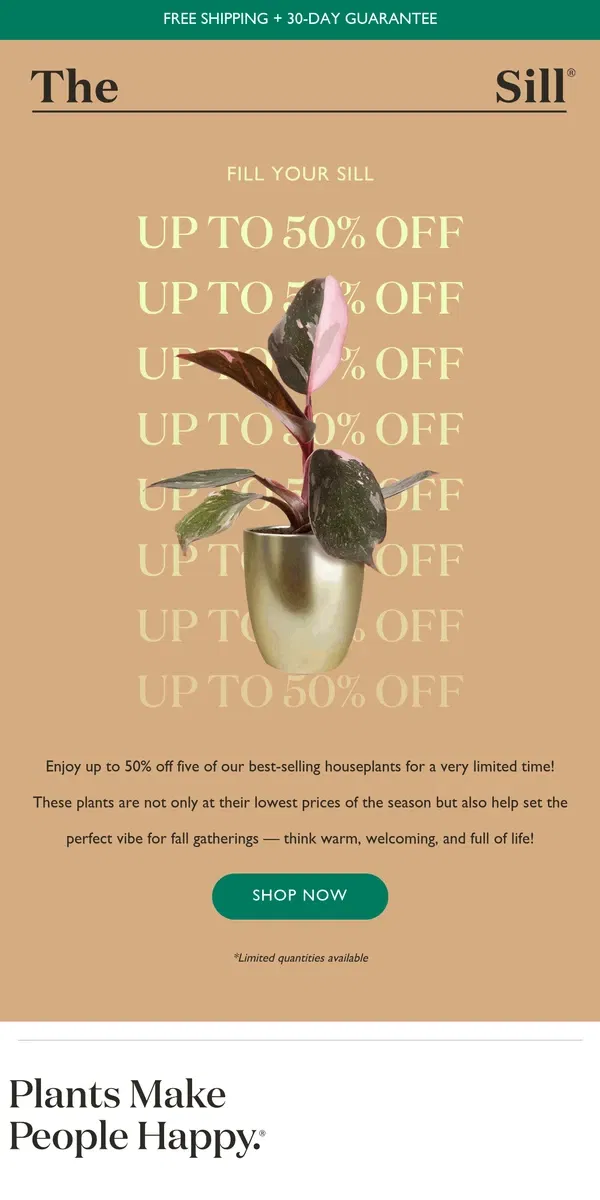 Email from The Sill. Fill Your Sill! Up to 50% OFF