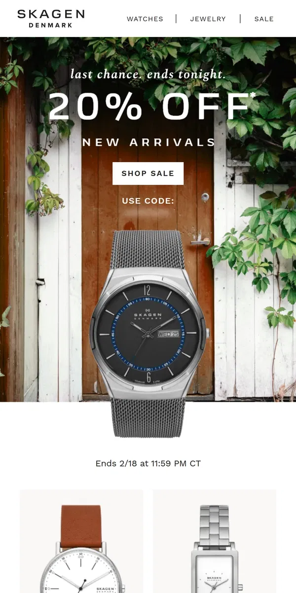 Email from Skagen. last chance for insider access.