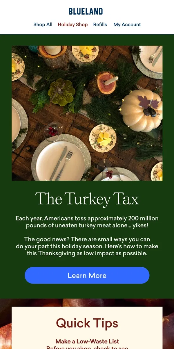 Email from Blueland. The beginner’s guide to a sustainable Thanksgiving 🦃 🍂