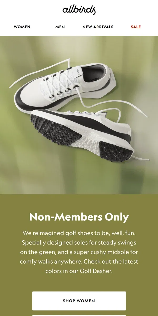 Email from Allbirds. Ditch The Cart