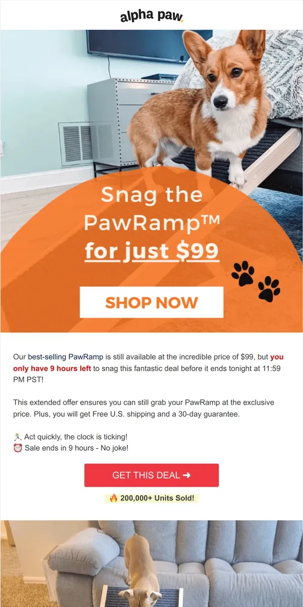 Email from Alpha Paw. ⏰ Hurry! Less than 9 hours left to...