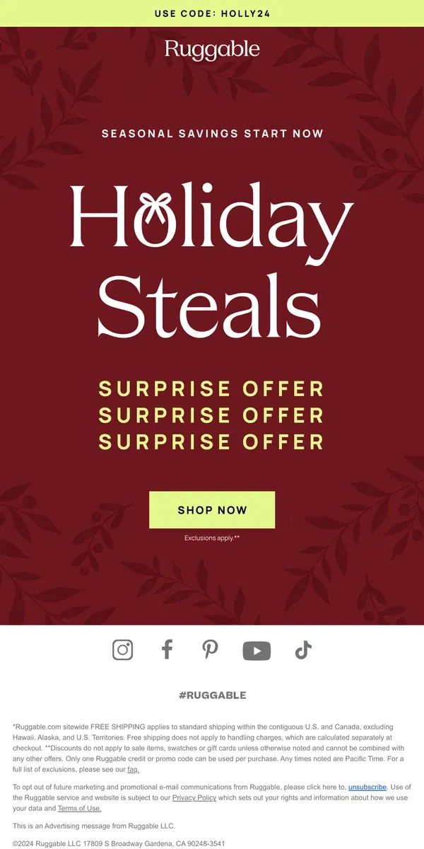 Email from Ruggable. Ooh, a surprise deal *just* for you