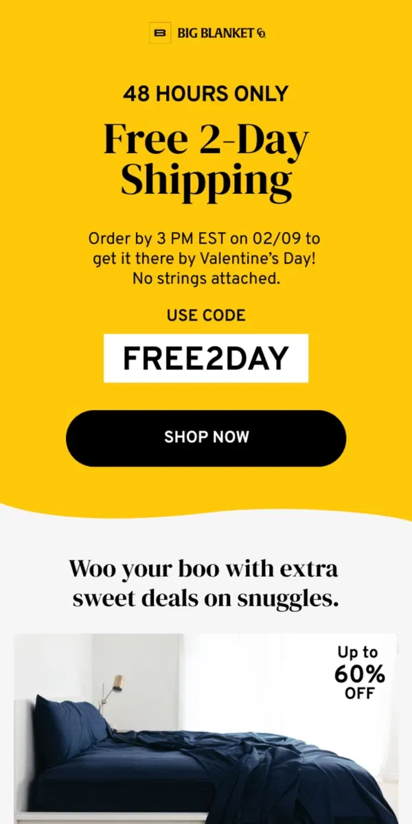 Email from Big Blanket Co. FREE 2-DAY SHIPPING is on us!