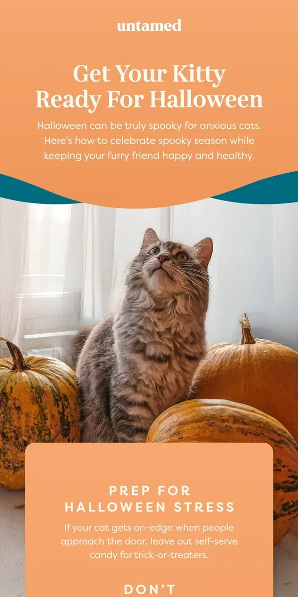 Email from Untamed Cat Food. Prepare your kitty for Halloween 🎃