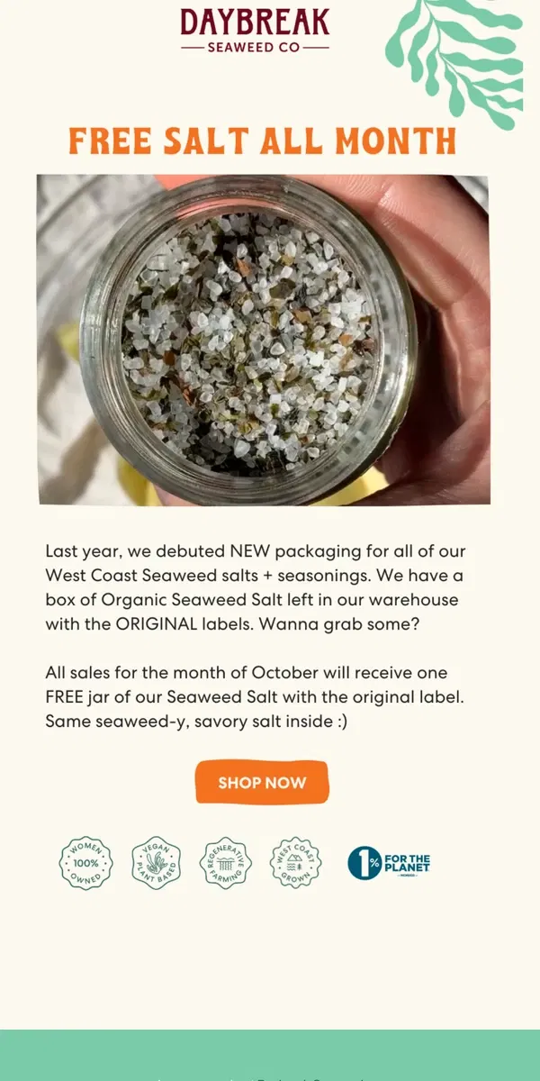 Email from Daybreak Seaweed. FREE seaweed salt with every order