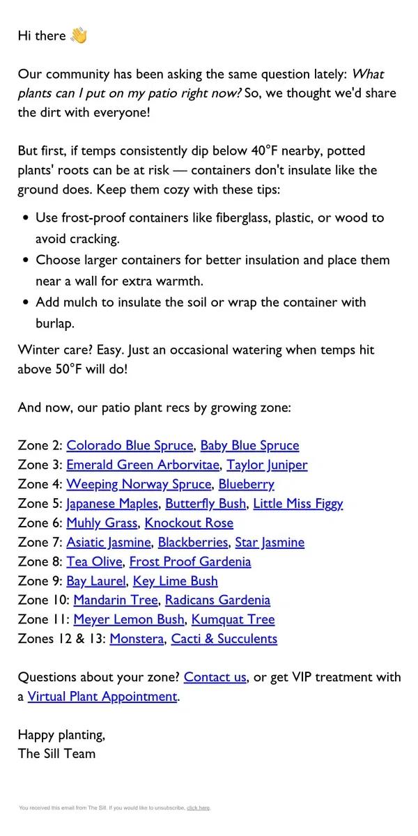 Email from The Sill. The Best Patio Plants for Right Now