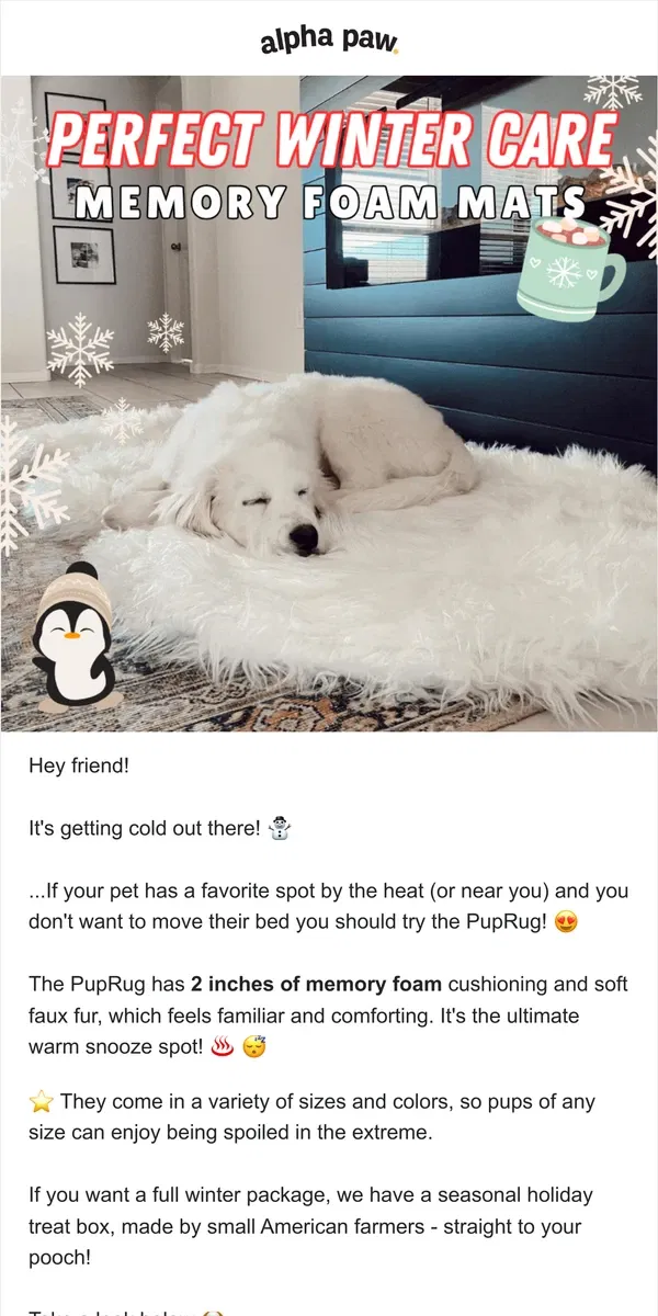 Email from Alpha Paw. 🎅 😴 Ultimate Christmas Comfort (for your dog)