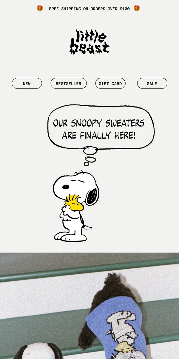 Email from Little Beast. Our Snoopy Sweater is Back!